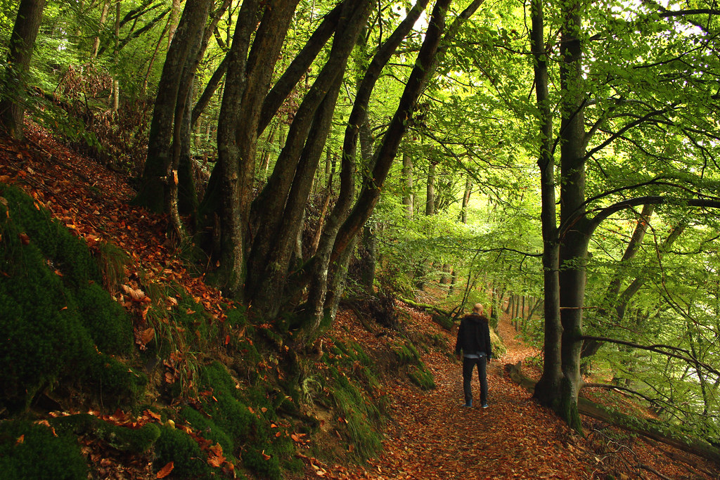 Motorcycle road through the Ardennes forest, Belgium