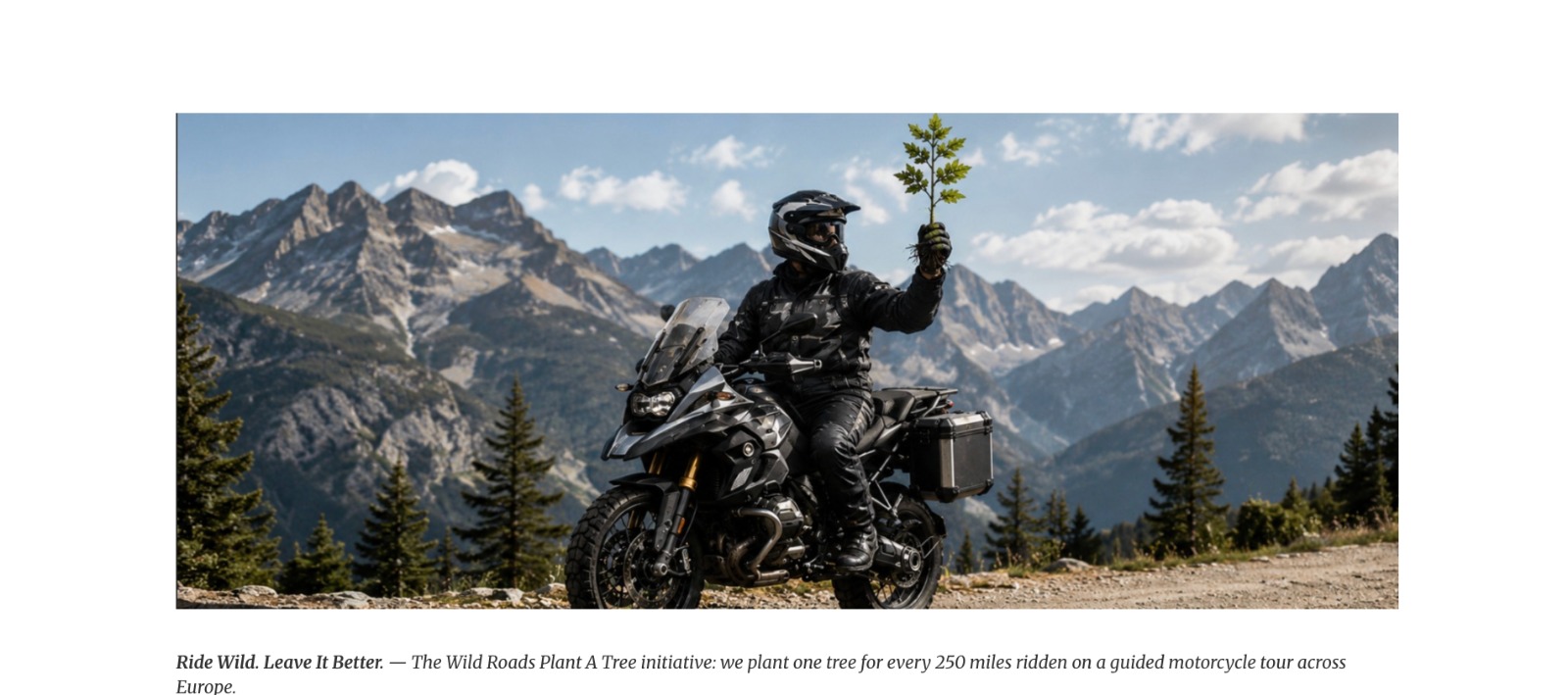 Wild Roads Plant A Tree Initiative - motorcycle tourer holding a tree sapling illustration with gold triangle - sustainable motorcycle tours