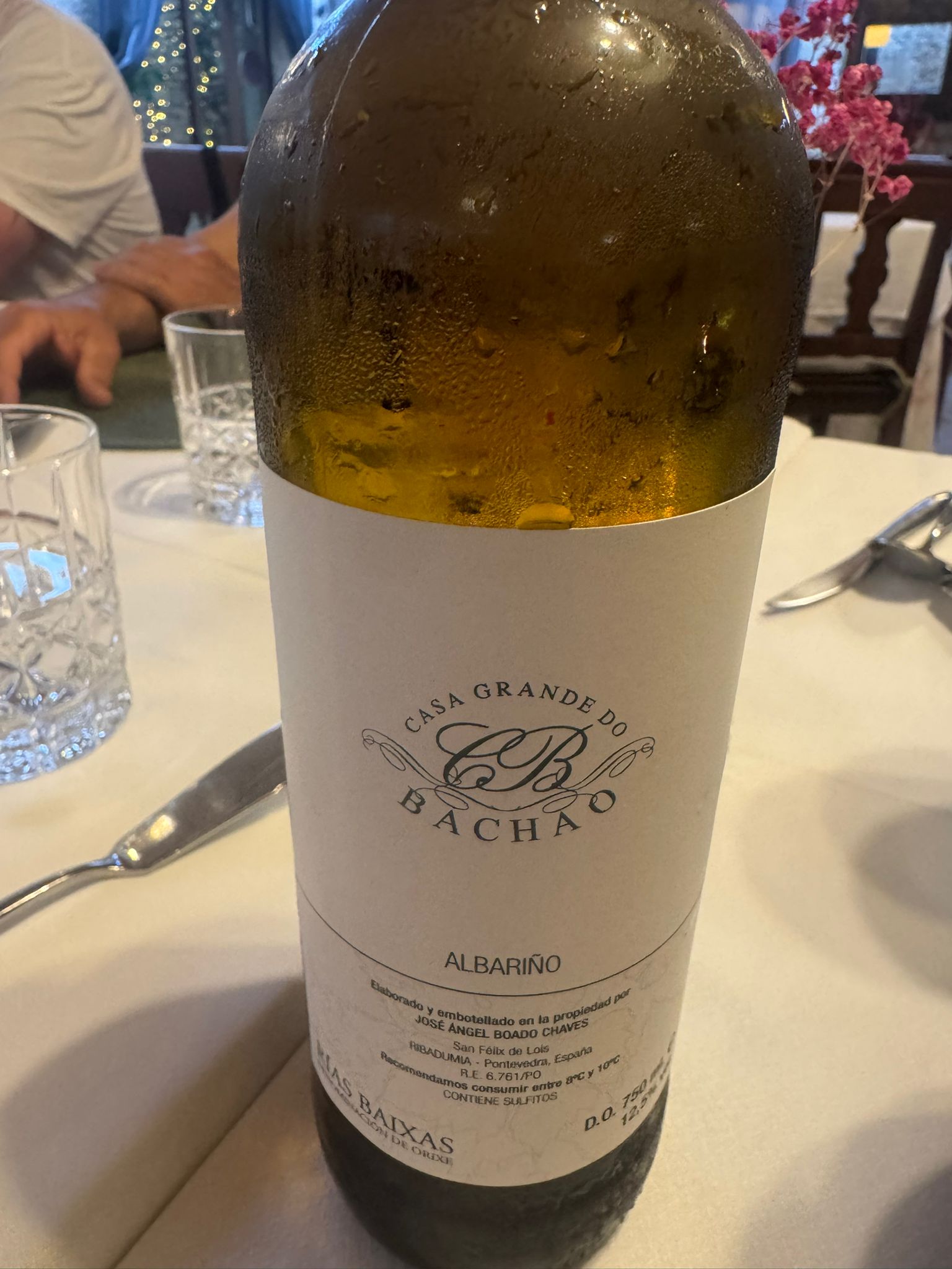 Casa Grande do Bachao Albarino Rias Baixas Galicia Wild Roads Tour