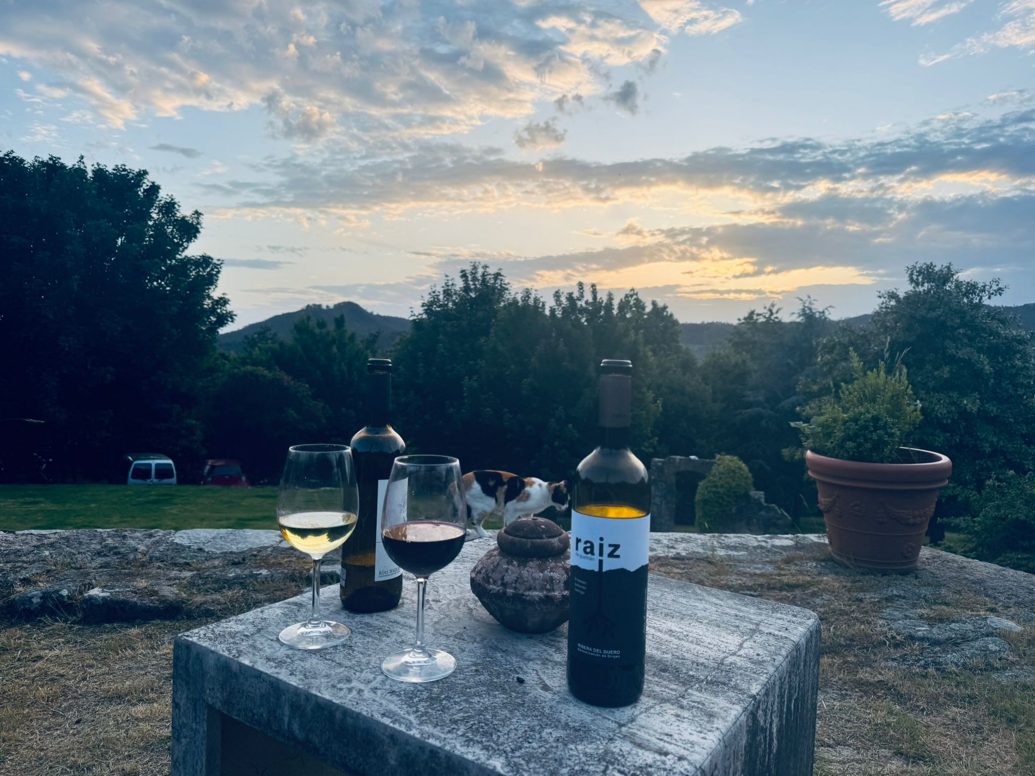 Wine at sunset Galicia Wild Roads Tour — Raiz Ribera del Duero