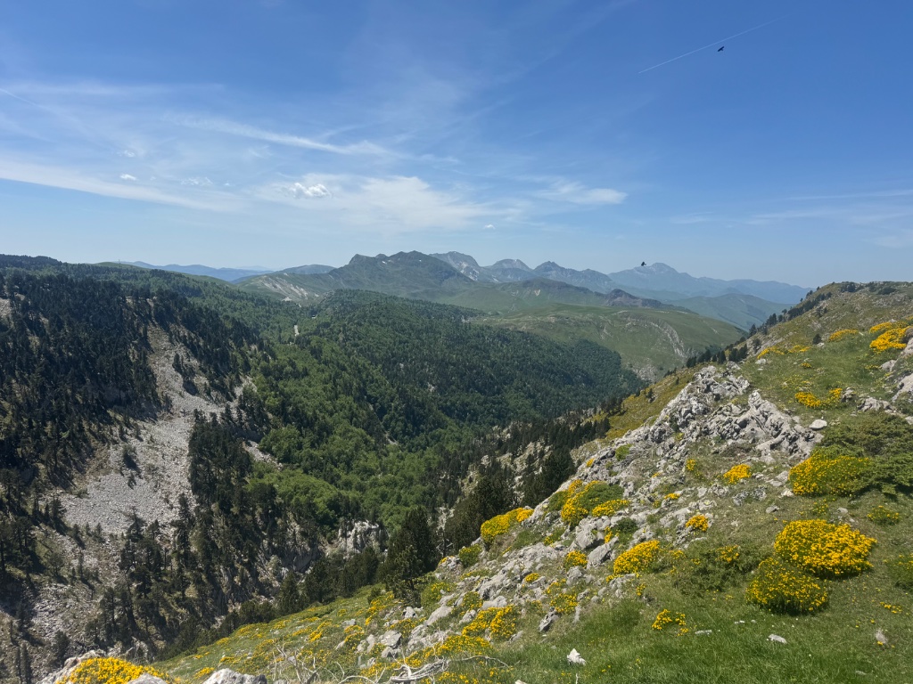 High altitude Pyrenean panorama — rocky gorge yellow wildflowers and mountain peaks — Wild Roads May 2026