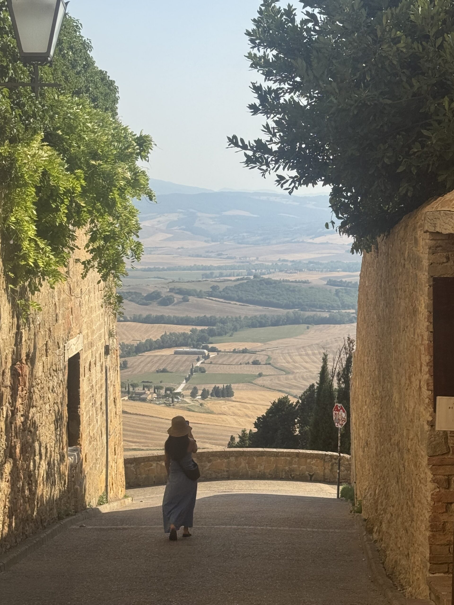 Cypress roads winding through the Val d'Orcia
