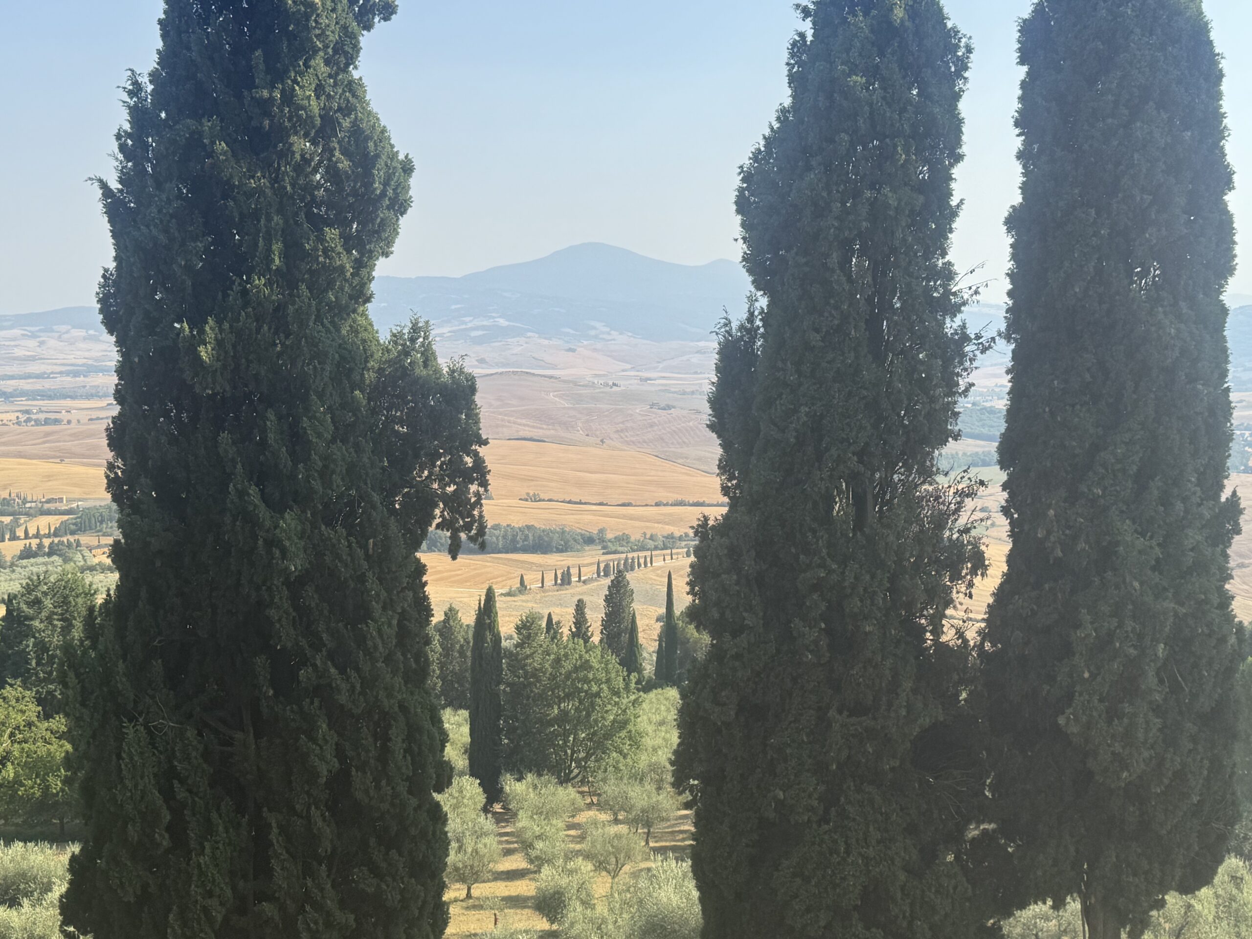 Golden hour light over Pienza and the Val d'Orcia