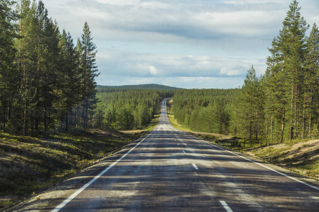 Empty forest road through Finnish Lapland — Into Lapland — The Wild Arctic Odyssey motorcycle expedition — Wild Roads
