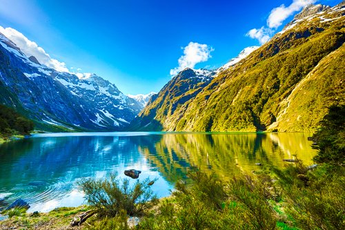 Turquoise lake framed by forested hills near the Cook Strait, New Zealand — Road To Aotearoa Trailblazer Expedition — Wild Roads