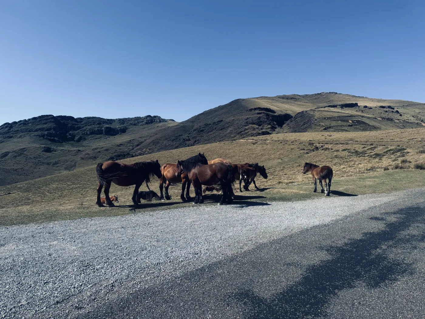 Blue skies over the mountains — Picos & Pyrenees August 2026 motorcycle tour