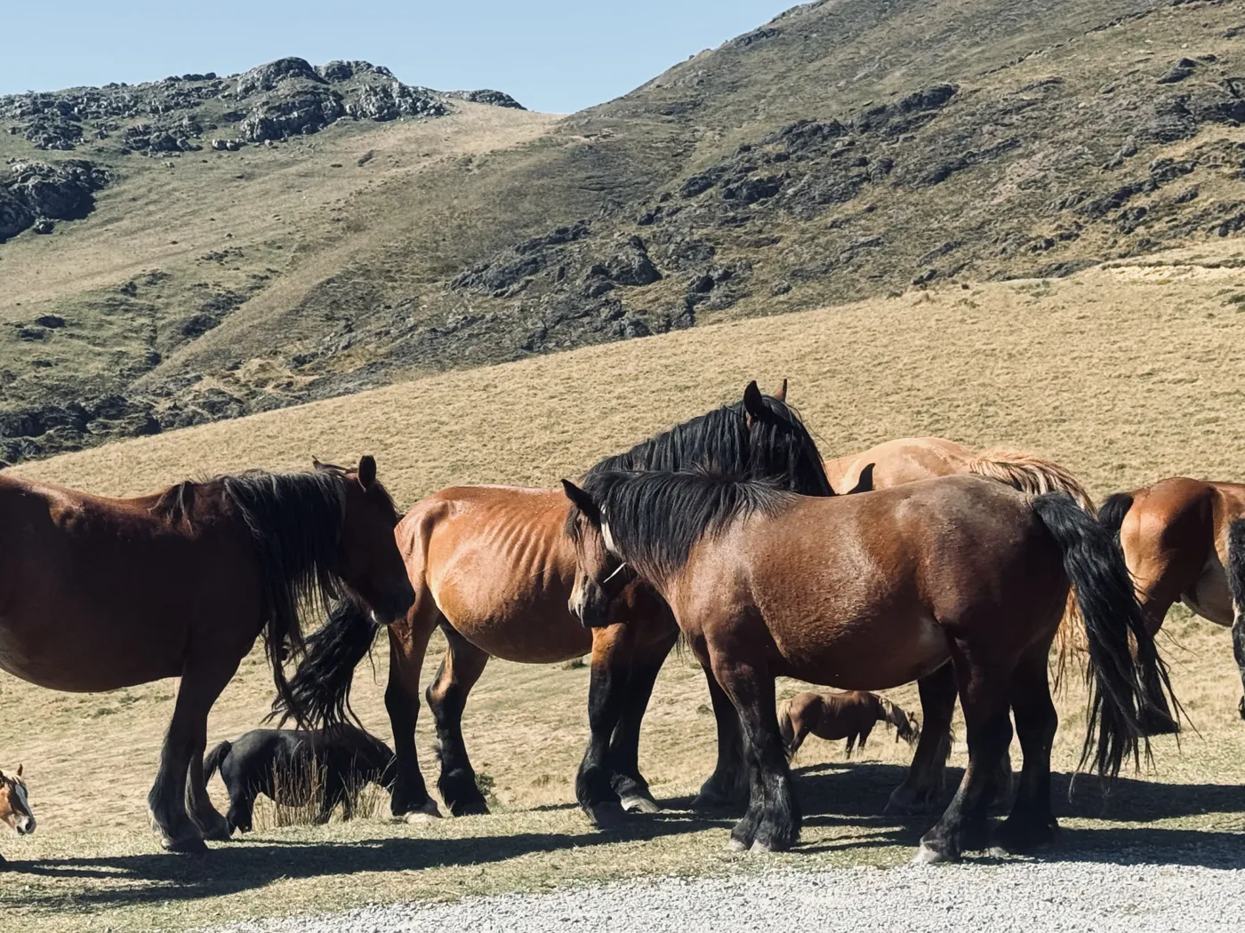 From the road — Picos & Pyrenees August 2026 motorcycle tour