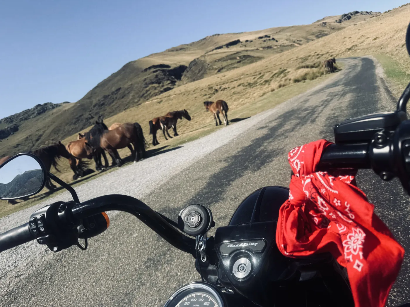 From the road — Picos & Pyrenees August 2026 motorcycle tour