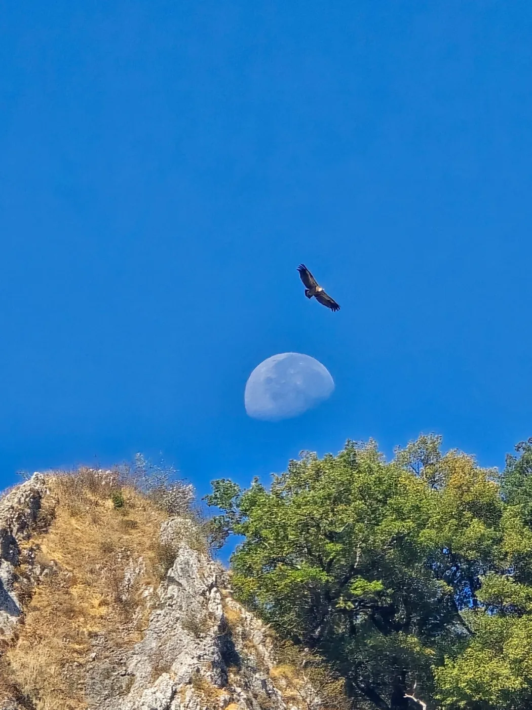 Blue skies over the mountains — Picos & Pyrenees August 2026 motorcycle tour
