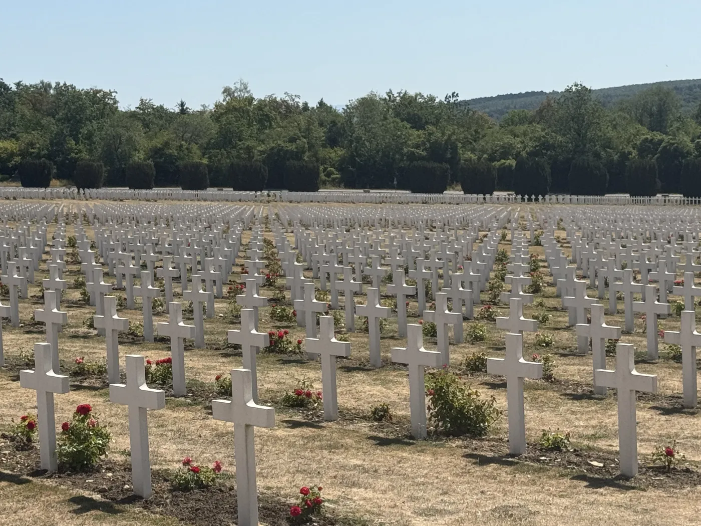 From the road — Twisties & The Tuscan Sun July 2026 motorcycle tour