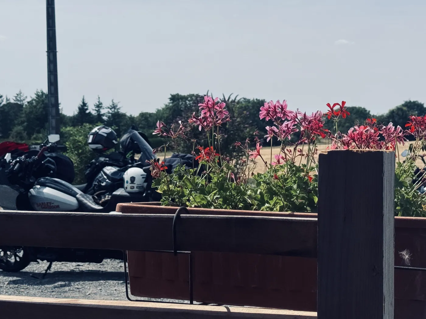 From the road — Twisties & The Tuscan Sun July 2026 motorcycle tour