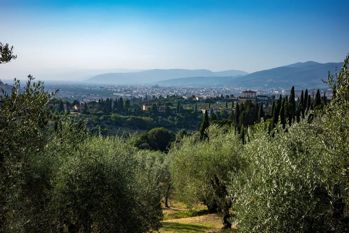 Green hills of the Dolomites — Twisties & The Tuscan Sun July 2026 motorcycle tour