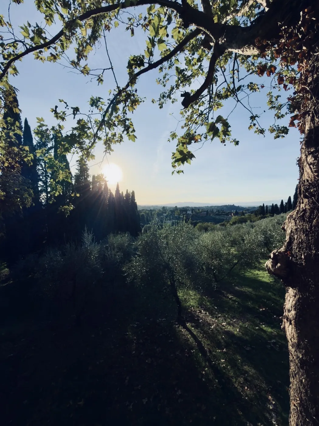 From the road — Twisties and the Tuscan Sun September 2026